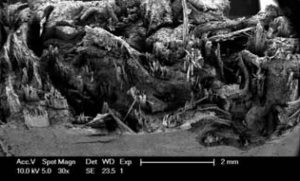 1743077859116981.png image001.png