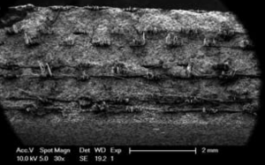 1743077867109877.png image003.png